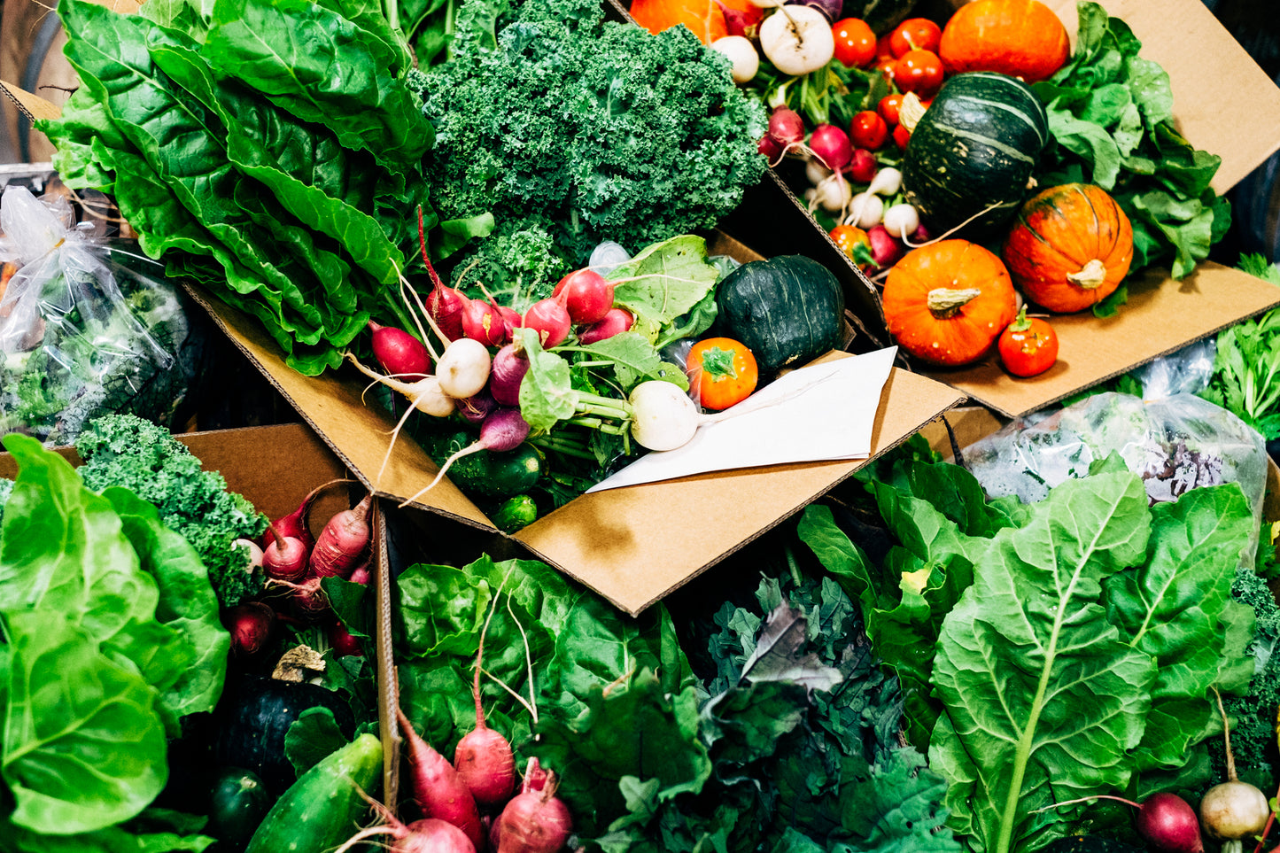 Ngeringa Organic Veggie Box