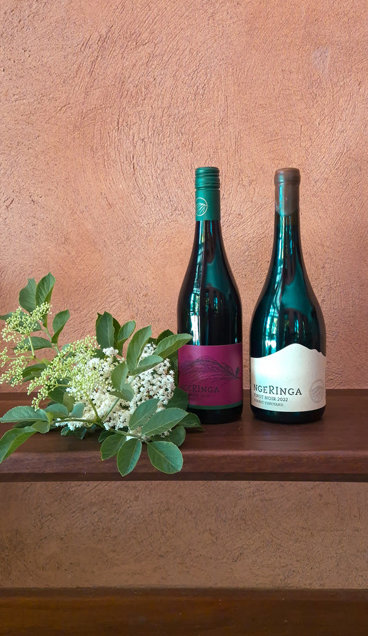 The Pinot Pair
