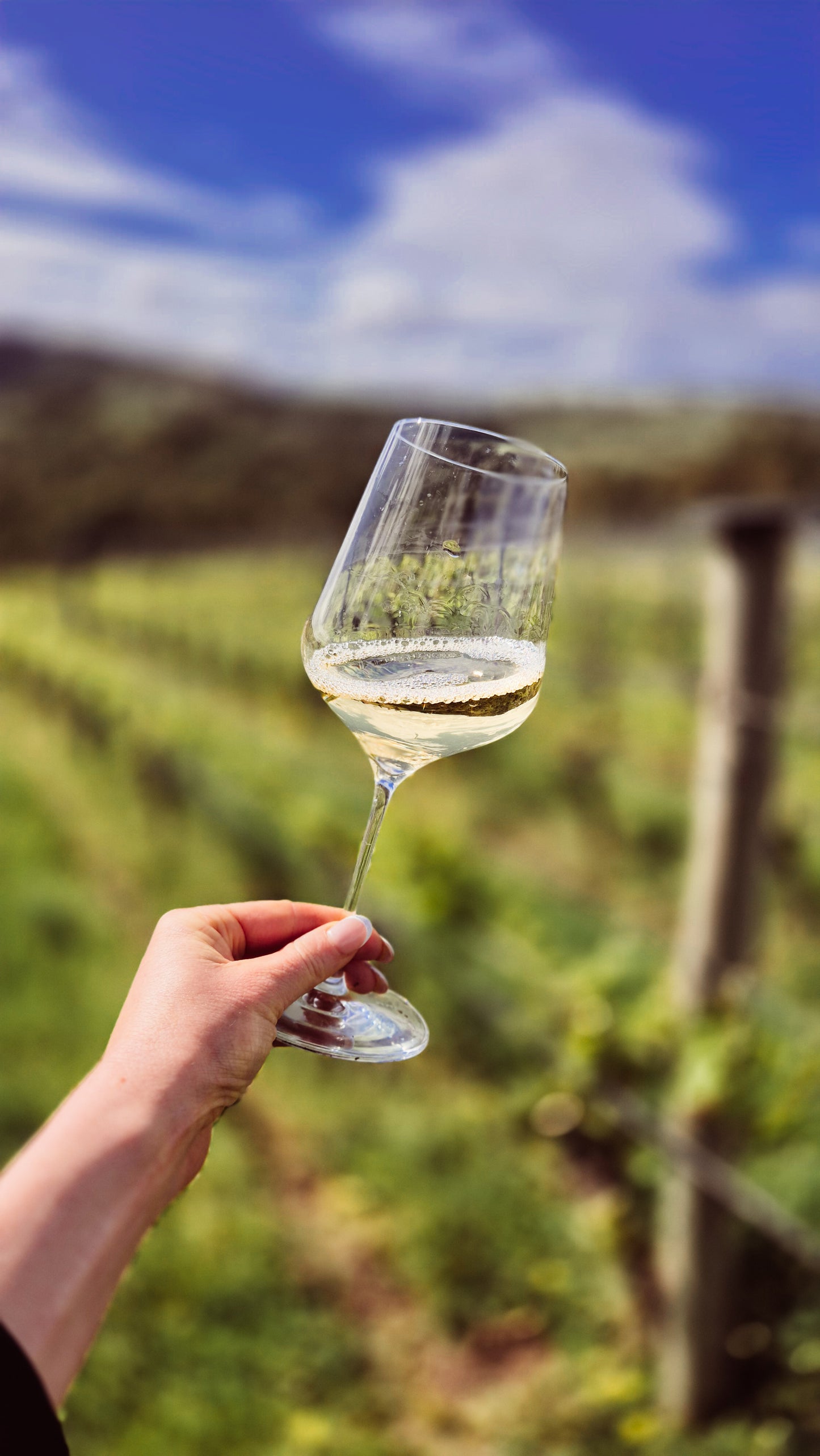 Vine-to-Glass Gift Card