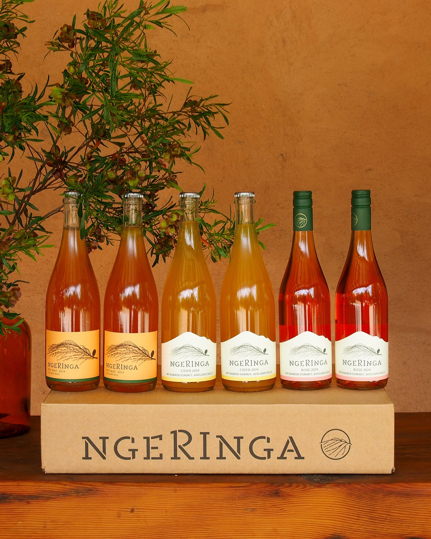 Summer Sippers Collection