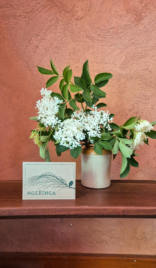 Ngeringa Web-Store or Cellar Door Gift Card